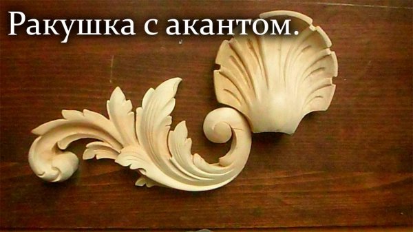 Как вырезать ракушку.2