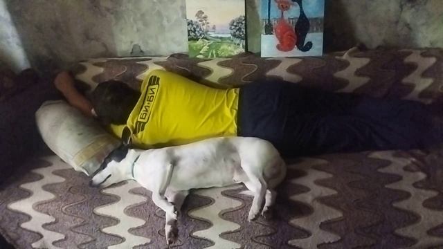 СОНЧАС смотреть онлайн