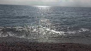 Страна Коктебель сегодня