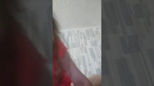распаковка стилуса