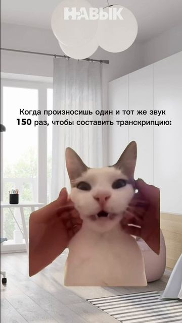 Как я составляю транскрипции