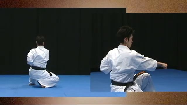 Kata Karate Kyokushinkai ( Ката Карате Киокушинкай ) часть 2 смотреть онлайн