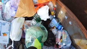 Как_я_зарабатываю_лазая_по_мусоркам_Питера_Dumpster_Diving_RUSSIA16