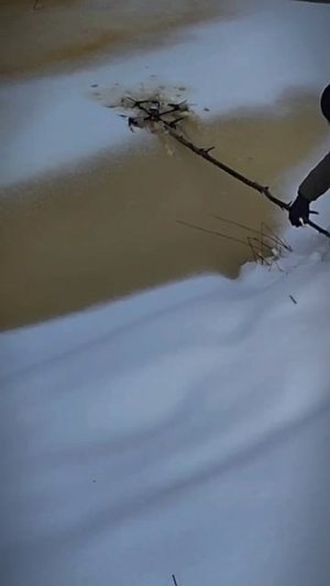 Школа БПЛА «Октагон».