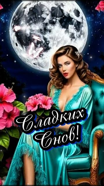 Спокойной ночи 🌙