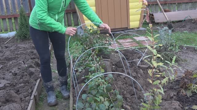 6 соток 29 октября 2025 года. 2 часть. смотреть онлайн