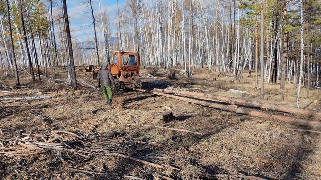 ДТ-75 Лесосека.