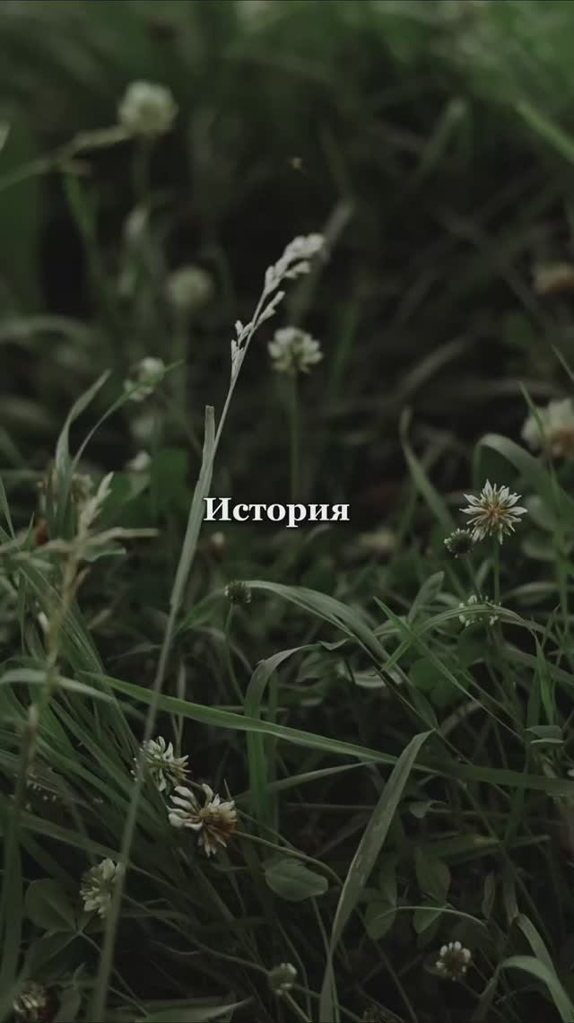 История из жизни смотреть онлайн