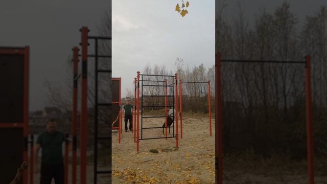 Турник и брусья