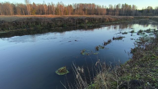 Река Уводь. ч.1. Ноябрь 2025 смотреть онлайн