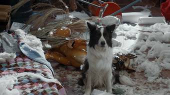 Это любовь, 2 сезон, 3 серия смотреть онлайн