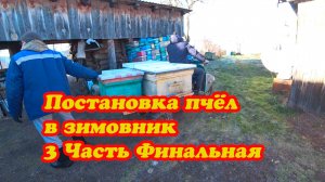 ФИНАЛЬНАЯ ПОСТАНОВКА ПЧЁЛ В ЗИМОВНИКИ. 3Часть.