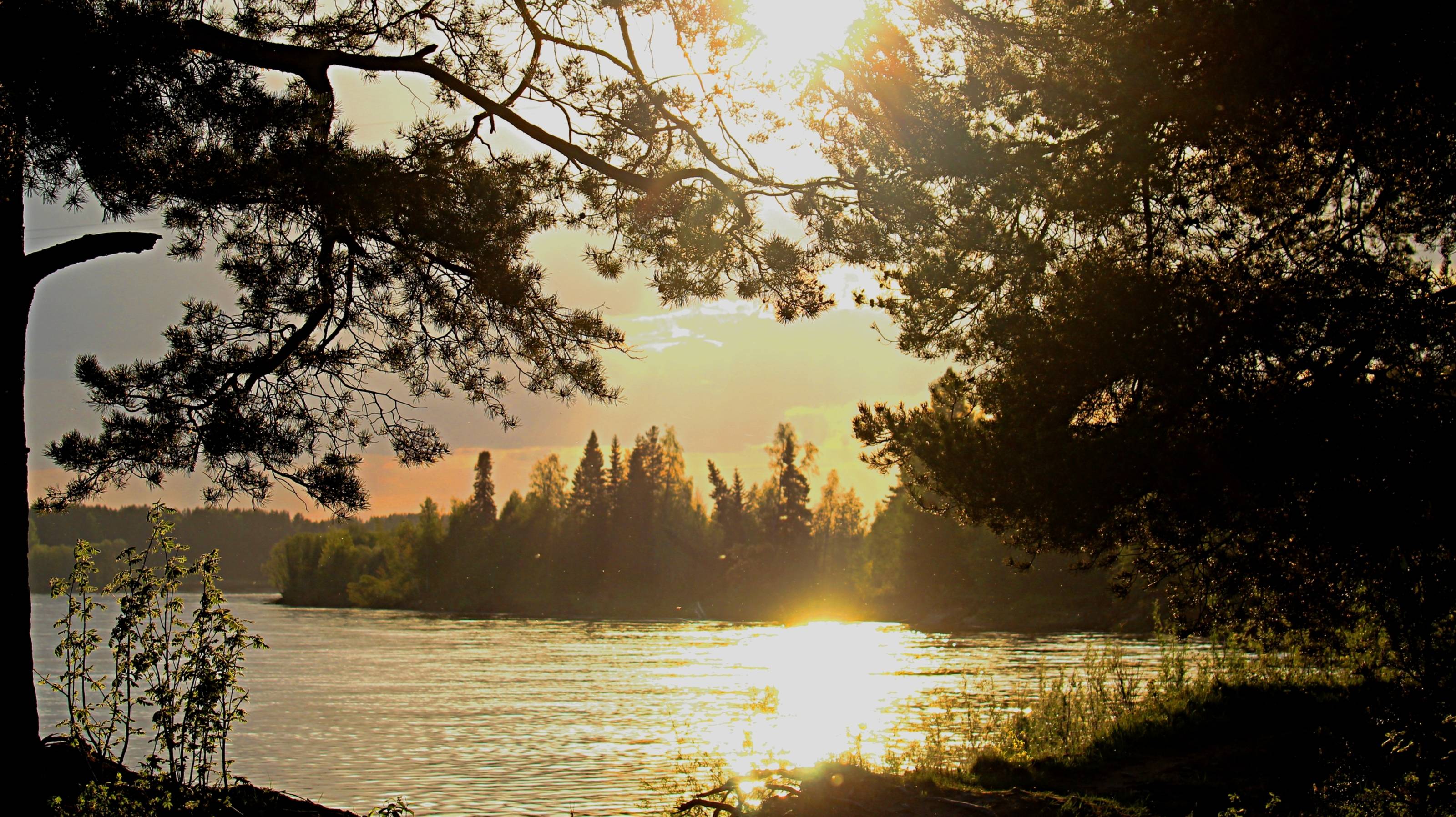 Республика Коми,г.о Сыктывкар, СНТ Эжва, 12-й пр.,32 смотреть онлайн