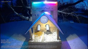 Онлайн кормушка для птиц, Западная Сибирь