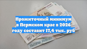 Прожиточный минимум в Пермском крае в 2026 году составит 17,4 тыс. руб