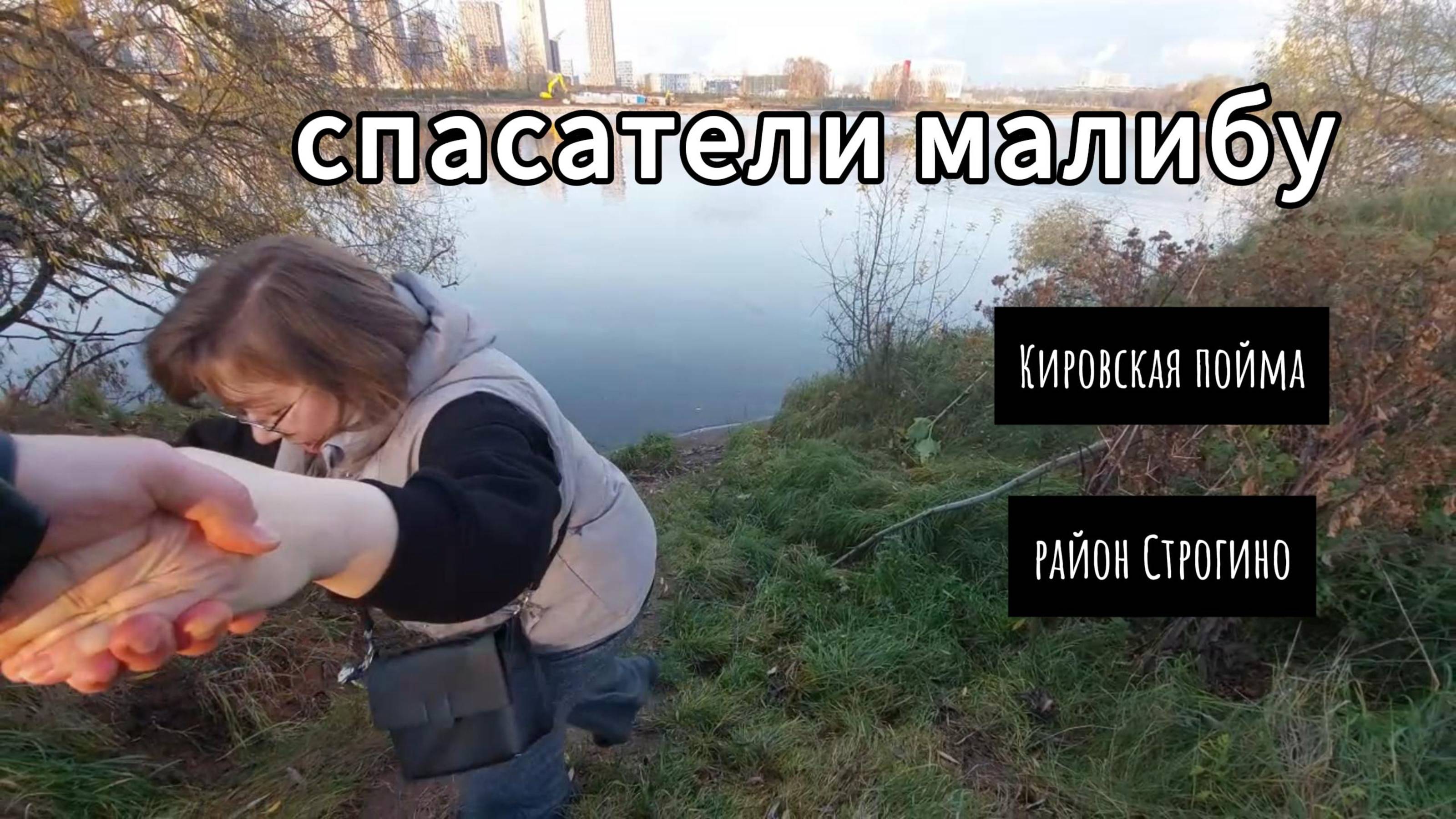 Спасатели малибу смотреть онлайн