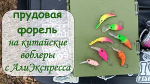 прудовая форель на китайские воблеры с АлиЭкпресса