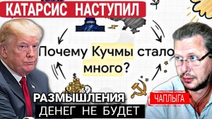 Кошка бросила котят, пусть @бутся как хотят 04-11-2025