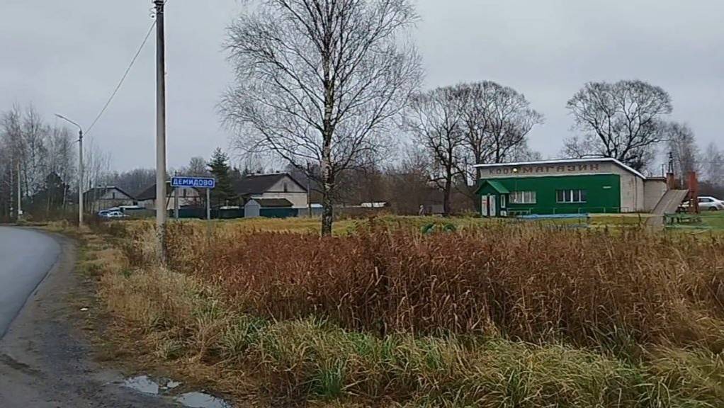 Ери 158 соток Шахарга 5км ЛПХ, Автобус, Мактаб, магазин, Иш ўринлари Великие Луки р-н дер. Демидово