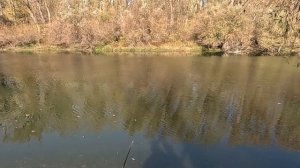 4.11. Отдых на реке Кубань. Анапа.