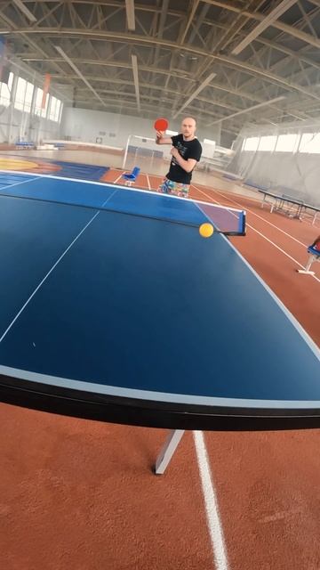 Играем в настольный теннис 🏆