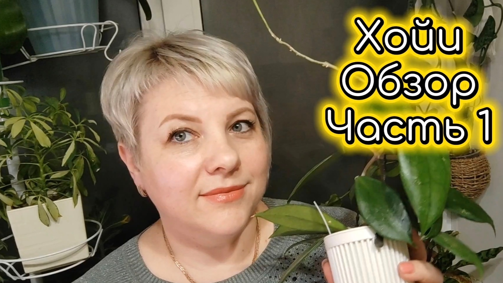 ОБЗОР КОЛЛЕКЦИИ | ХОЙИ | ЧАСТЬ 1 смотреть онлайн