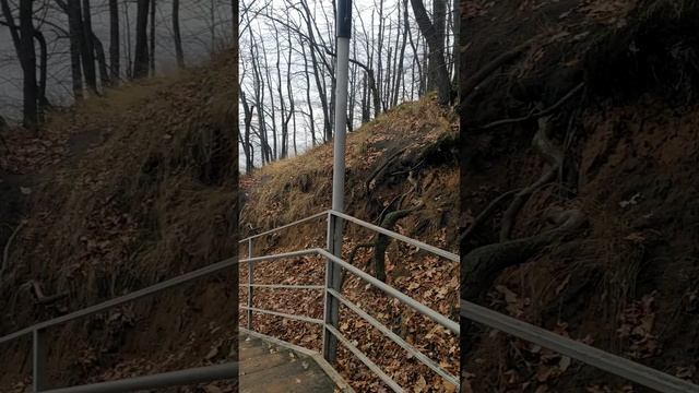 Моё путешествие в парк 