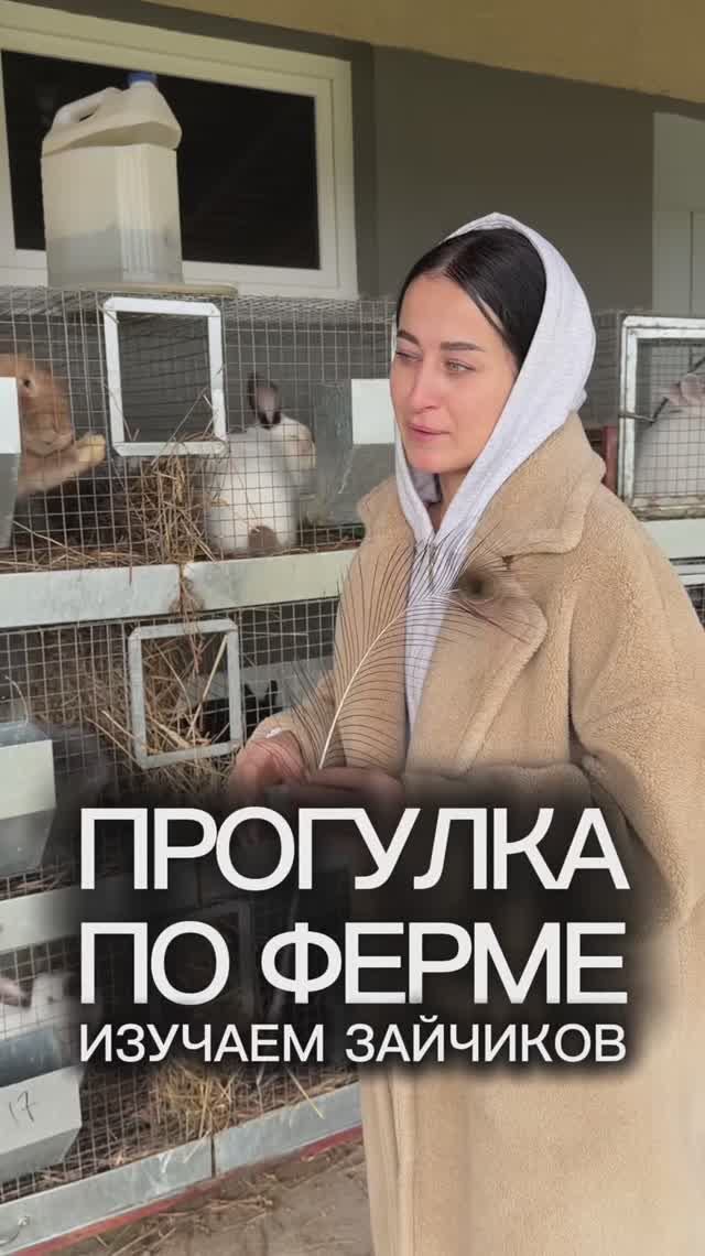 Зайчики смотреть онлайн