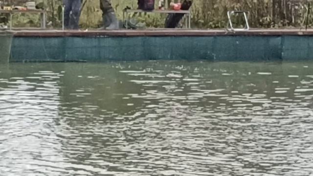 до запуска 3 смотреть онлайн