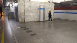 Станция метро Пионерская, Ленинград (Санкт-Петербург), Синяя (Московско-Петроградская) Линия