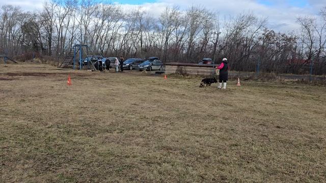 2. выражено/пож АЛЛЕМО ХАУС ЕЛИЗАРА (Feyvorits Gods Vulkan – Аллемо Хаус Барби) смотреть онлайн