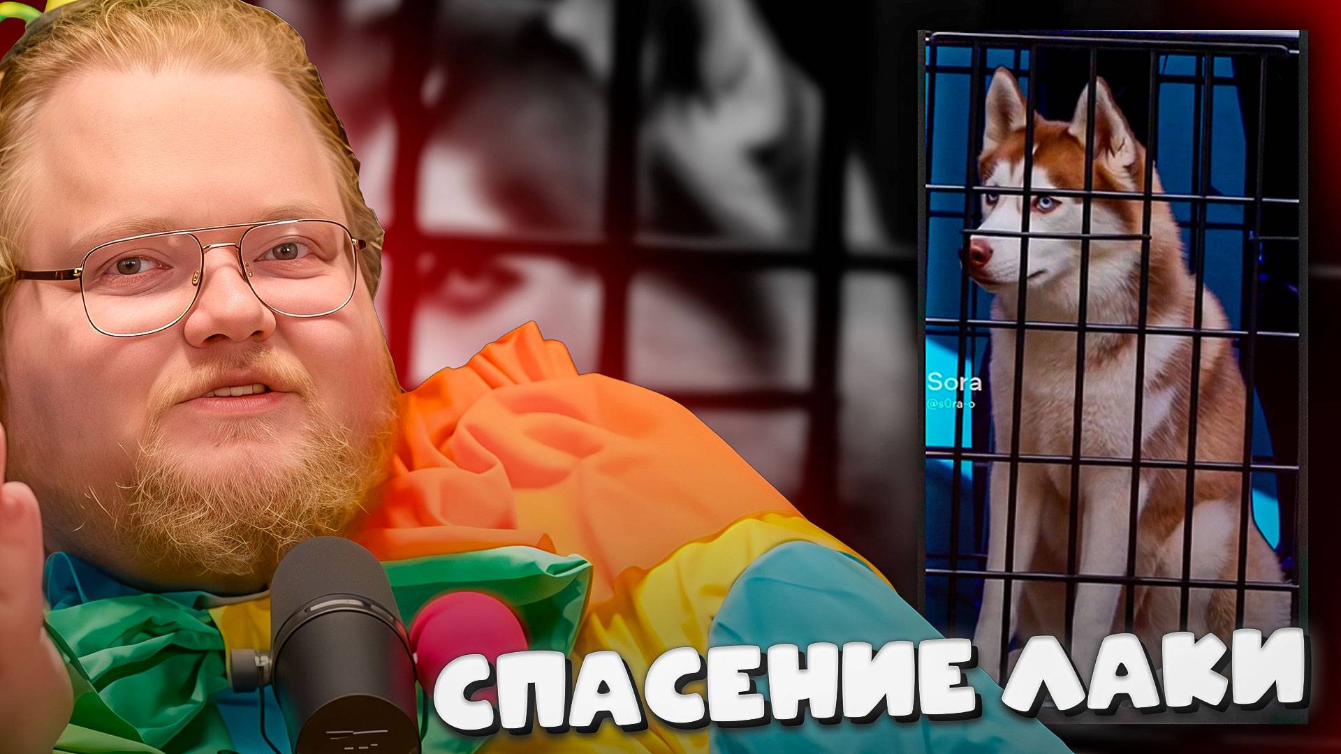 T2x2 СМОТРИТ ► T2X2 СПАСЕНИЕ ЛАКИ — короткометражка смотреть онлайн