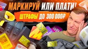 🚨 Честный знак для ИП. Что маркировать, как маркировать и как избежать штрафов до 300 000 рублей?