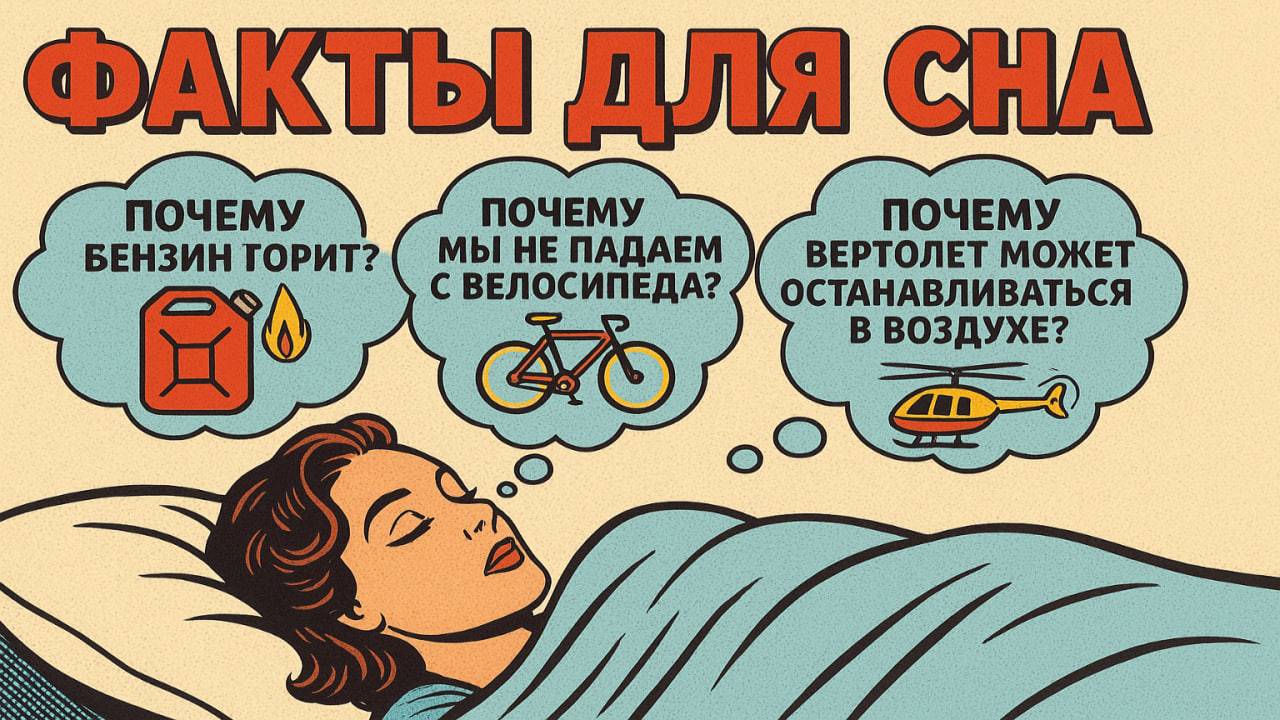 Факты для сна: интересные знания, чтобы быстро уснуть смотреть онлайн