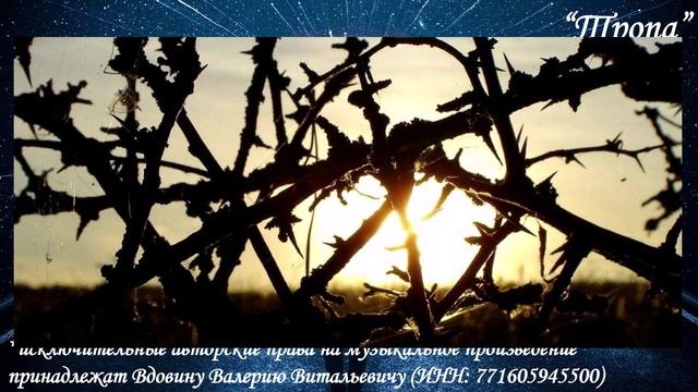 Тропа (вариация 4) смотреть онлайн