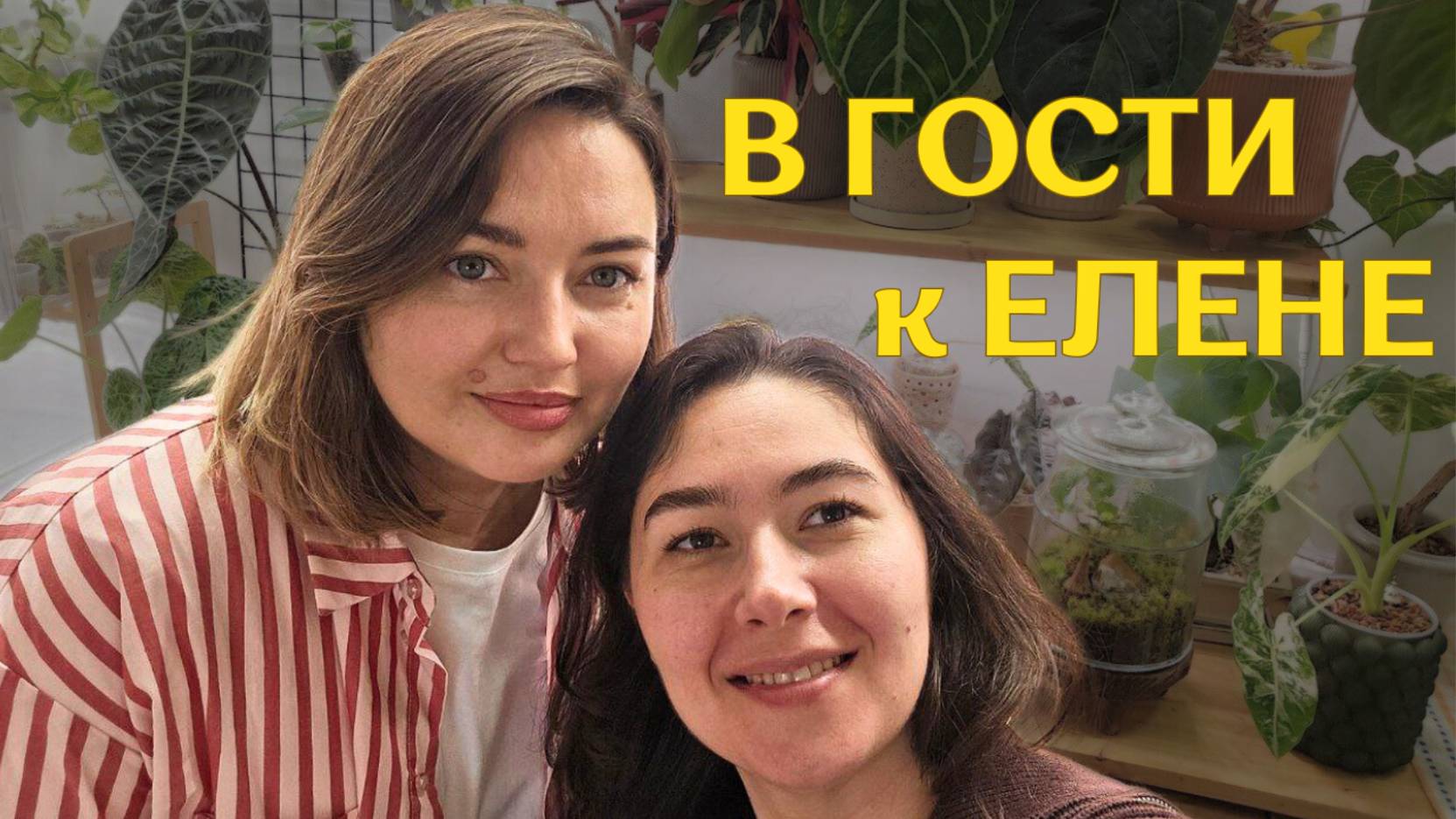 КРАСИВАЯ московская КВАРТИРА с РАСТЕНИЯМИ | в гостях У ЕЛЕНЫ | растения В ИНТЕРЬЕРЕ🪴 смотреть онлайн