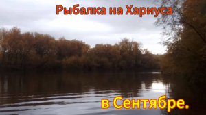 Клевая Рыбалка на Хариуса Осенью!!!