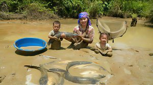 Ловлю рыбу из грязного пруда для продажи на рынке. Готовлю рыбу гриль для своей маленьной дочки