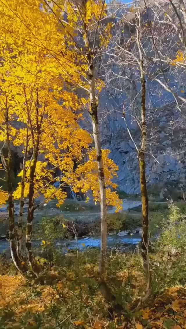 Абхазия, Гегский водопад сегодня (5 ноября, ОСЕНЬ-2025) смотреть онлайн