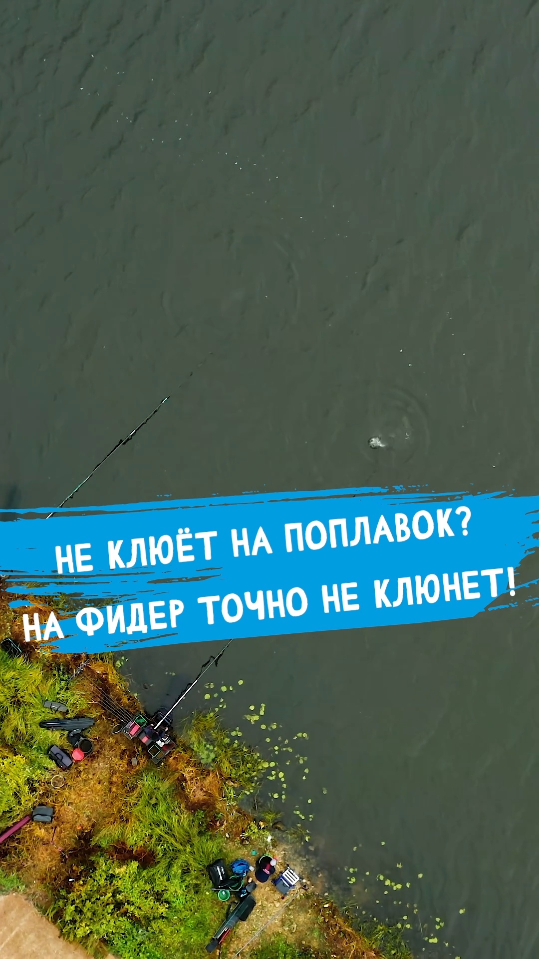 Расхвалили тут фидер! смотреть онлайн