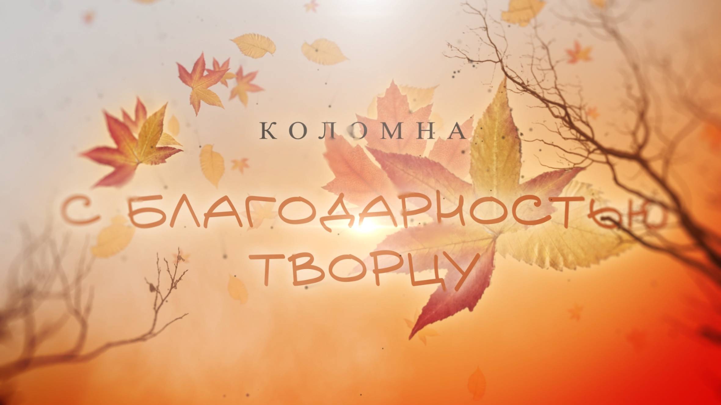 Жатвенная программа 