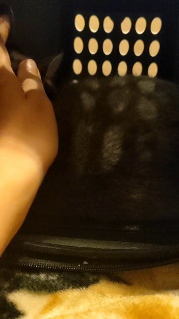 Кто в доме хозяин смотреть онлайн