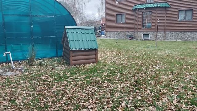 Приготовление свиных рёбрушек на углях