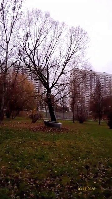 Сквер «Родная гавань» 02.11.2025