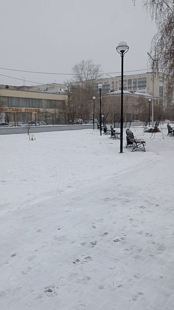 🌨️ Осенний ноябрьский снегопад 2025 ❄️❄️❄️ #природа #nature #снег #snow #осень #autumn смотреть онлайн