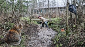 Рою чищу канаву за домом в деревне