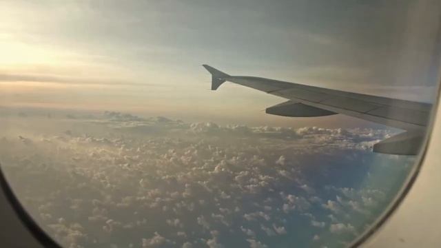 Экскурсия по бизнесу Travel.