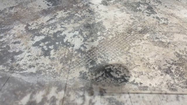 SIESTA смотреть онлайн