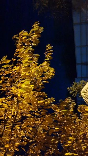 Осень смотреть онлайн