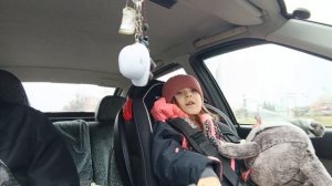 Путешествие к бабушке, поездка на машине